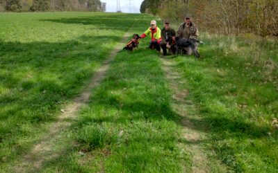 Nachsuche mit Nachhilfe